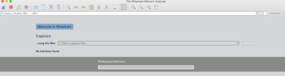 Wireshark Startup Finding Interfaces